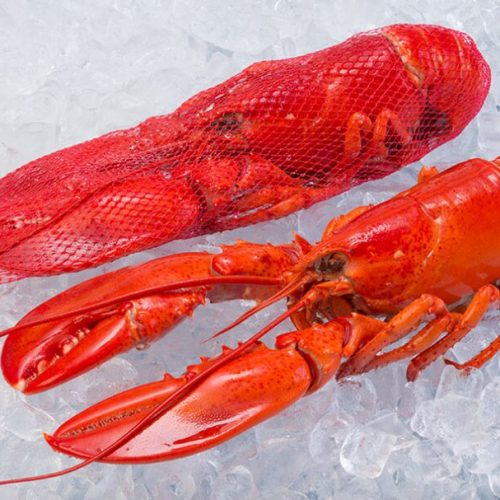 Homards cuits et congelés entiers - Gagnon et fils